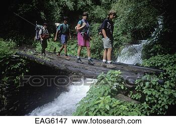 Foto - trekkers,   crucifixos,    passarela,    medir,   fluxo,    dolpo. fotosearch  - busca de fotos,  imagens e clipart