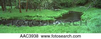 Stock Photo - french creek, 
custer state park, 
sdakota. fotosearch 
- search stock 
photos, pictures, 
images, and photo 
clipart