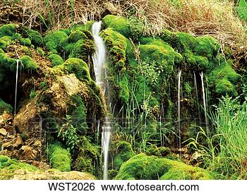 Hazır Fotoğraf - şelale. fotosearch 
- foto, resim, 
görüntü ve foto 
klipart ara
