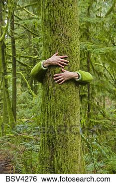 Stock Photo - a woman hugging 
a tree in a rainforest 
on vancouver island 
in british. fotosearch 
- search stock 
photos, pictures, 
images, and photo 
clipart