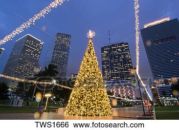 Stock Photo - christmas lights 
adorn tree and 
downtown at bayfront 
park,  miami. 
fotosearch - search 
stock photos, 
pictures, images, 
and photo clipart