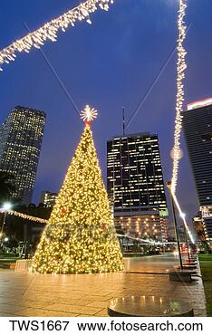 Picture - christmas lights 
adorn tree and 
downtown at bayfront 
park,  miami. 
fotosearch - search 
stock photos, 
pictures, images, 
and photo clipart