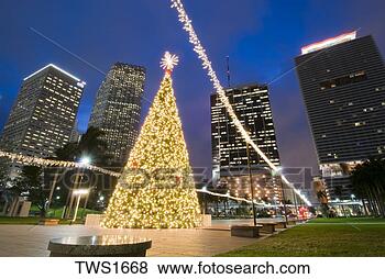 Stock Photo - christmas lights 
adorn tree and 
downtown at bayfront 
park,  miami. 
fotosearch - search 
stock photos, 
pictures, images, 
and photo clipart