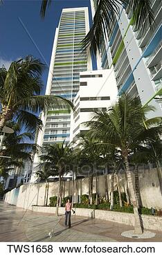 Stock Photo - condominium resident 
walks dog under 
palms and high 
rise buildings. 
fotosearch - search 
stock photos, 
pictures, images, 
and photo clipart
