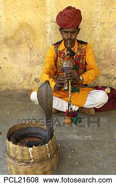 Stock Photo - jaipur, snake 
charmer. fotosearch 
- search stock 
photos, pictures, 
images, and photo 
clipart