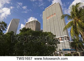 Picture - monorail train 
passes through 
tree lined bayfront 
park, miami, florida. 
fotosearch - search 
stock photos, 
pictures, images, 
and photo clipart