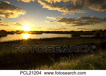 Stock Photo - provence, camargue, 
sunset over marshes. 
fotosearch - search 
stock photos, 
pictures, images, 
and photo clipart