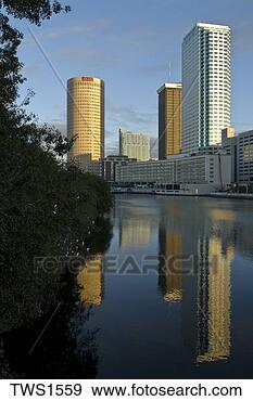 Stock Photograph - tampa, florida, 
skyline reflects 
in hillsborough 
river at dawn. 
fotosearch - search 
stock photos, 
pictures, images, 
and photo clipart
