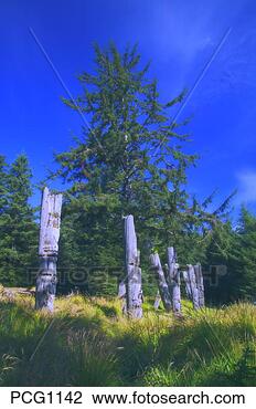 Stock Photo - gwaii haanas national 
park reserve, 
 queen charlotte 
islands sgang. 
fotosearch - search 
stock photos, 
pictures, images, 
and photo clipart