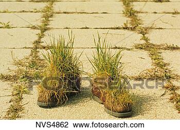 Stock Photo - pair of shoes 
in the middle 
of a cracked sidewalk 
with grass growing. 
fotosearch - search 
stock photos, 
pictures, images, 
and photo clipart