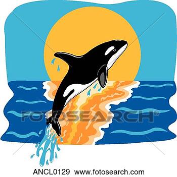 Clip Art - assassino,  baleia. 
fotosearch - busca 
de ilustrações 
clipeart e desenhos