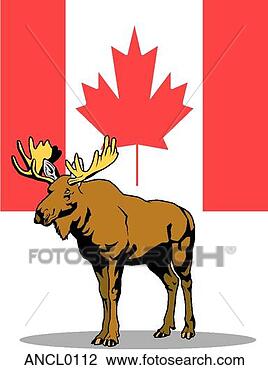 Clipart - canadense,  alces. 
fotosearch - busca 
de ilustrações 
clipeart e desenhos
