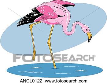 Klipart - flamingo. fotosearch 
- klipart İlüstrasyon, 
çizimler ve görüntüler 
ara