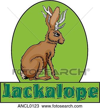 Clipart - jackalope. fotosearch 
- busca de ilustrações 
clipeart e desenhos