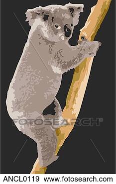 Clip Art - koala,  urso, 
 cima,  árvore. 
fotosearch - busca 
de ilustrações 
clipeart e desenhos