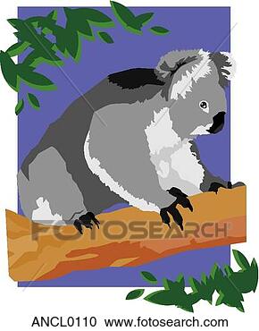 Clipart - koala,  urso. 
fotosearch - busca 
de ilustrações 
clipeart e desenhos