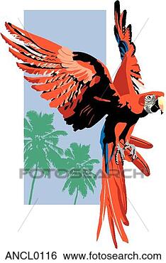 Clip Art - macaw. fotosearch 
- busca de ilustrações 
clipeart e desenhos