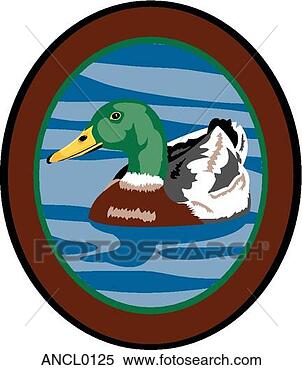 Klipart - mallard,  ördek. 
fotosearch - klipart 
İlüstrasyon, çizimler 
ve görüntüler 
ara
