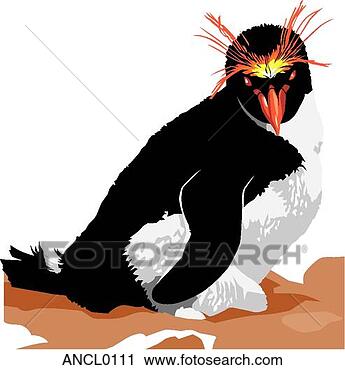 Clipart - pingüim. fotosearch 
- busca de ilustrações 
clipeart e desenhos