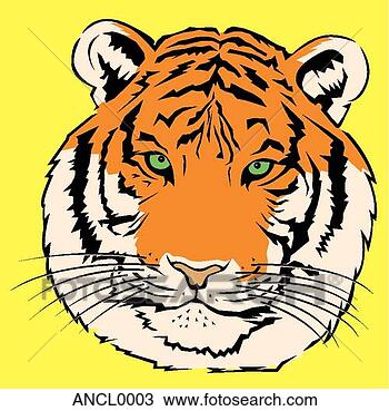 Clipart - tiger. fotosearch 
- search clipart, 
illustration, 
drawings and vector 
eps graphics images