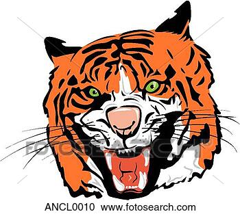 Clipart - tiger. fotosearch 
- search clipart, 
illustration, 
drawings and vector 
eps graphics images