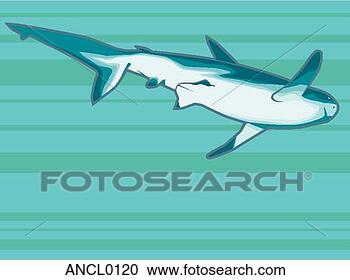 Clipart - tubarão,  abaixo, 
 vista. fotosearch 
- busca de ilustrações 
clipeart e desenhos