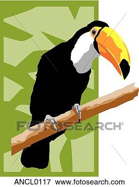 Clip Art - tucano. fotosearch 
- busca de ilustrações 
clipeart e desenhos
