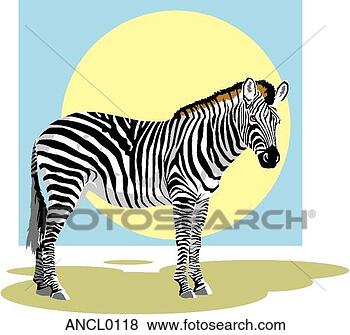 Clip Art - zebra. fotosearch 
- busca de ilustrações 
clipeart e desenhos