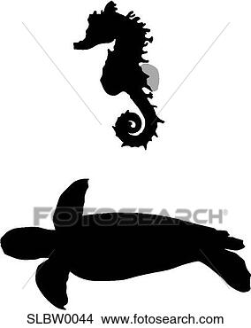 seahorse