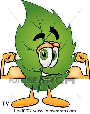 Klipart - yaprak, büküyor, 
muscles. fotosearch 
- klipart İlüstrasyon, 
çizimler ve görüntüler 
ara