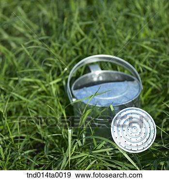 Stock Photograph - a watering pot. 
fotosearch - search 
stock photos, 
pictures, images, 
and photo clipart