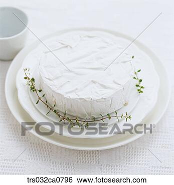 Stock Photo - dairy products, 
 food,  cheese, 
 cream cheese, 
 brie cheese. 
fotosearch - search 
stock photos, 
pictures, images, 
and photo clipart