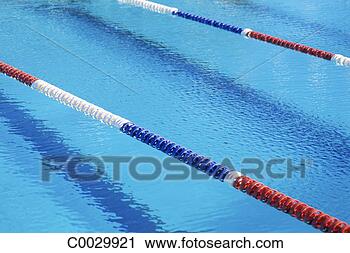 Stock Photography - swimming pool 
with competition 
lanes roped off. 
fotosearch - search 
stock photos, 
pictures, images, 
and photo clipart
