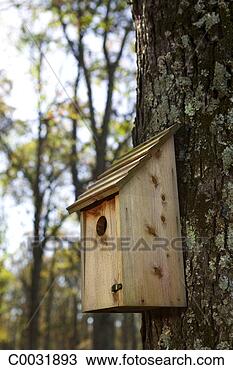 Stock Photo - close-up of a 
bird house nailed 
to a tree. fotosearch 
- search stock 
photos, pictures, 
images, and photo 
clipart