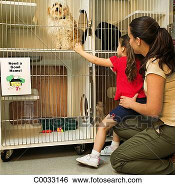 Stock Photo - a mother and daughter 
choose a kitten 
or dog to take 
home from the. 
fotosearch - search 
stock photos, 
pictures, images, 
and photo clipart