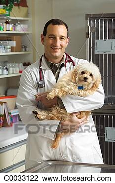 Stock Photo - portrait of a 
friendly vet holding 
a dog in the examination 
room. fotosearch 
- search stock 
photos, pictures, 
images, and photo 
clipart