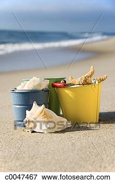 Picture - buckets of seashells. 
fotosearch - search 
stock photos, 
pictures, images, 
and photo clipart