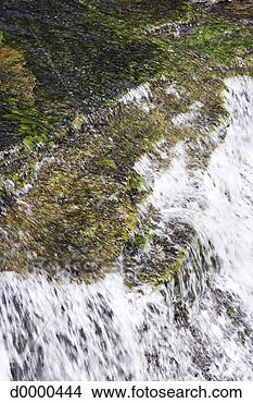 Stock Photo - fast flowing stream. 
fotosearch - search 
stock photos, 
pictures, images, 
and photo clipart