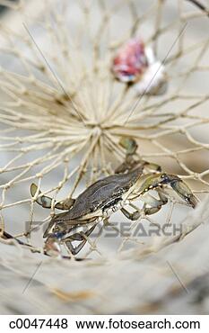 Stock Photo - fishing. fotosearch 
- search stock 
photos, pictures, 
images, and photo 
clipart