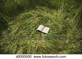 Stock Photography - open book on matted 
grass outdoors. 
fotosearch - search 
stock photos, 
pictures, images, 
and photo clipart
