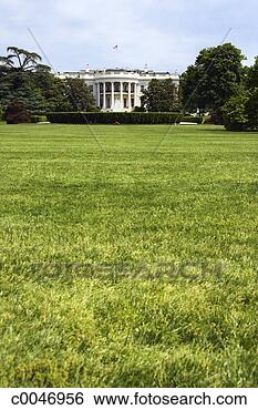 Stock Photo - white house in 
washington dc. 
fotosearch - search 
stock photos, 
pictures, images, 
and photo clipart