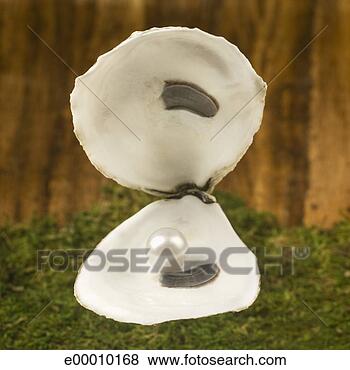 Stock Photo - oyster shell with 
pearl. fotosearch 
- search stock 
photos, pictures, 
images, and photo 
clipart