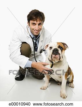 Stock Photography - veterinarian examining 
dog. fotosearch 
- search stock 
photos, pictures, 
images, and photo 
clipart