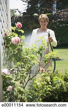 Stock Photo - woman watering 
rose bush. fotosearch 
- search stock 
photos, pictures, 
images, and photo 
clipart