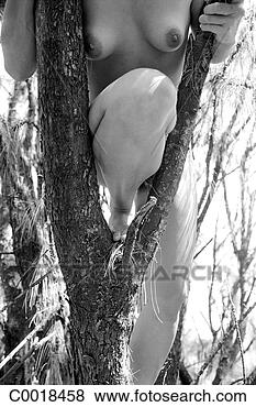 Stock Photo - japanese, climbing, 
female, concept, 
close-up, asian. 
fotosearch - search 
stock photos, 
pictures, images, 
and photo clipart