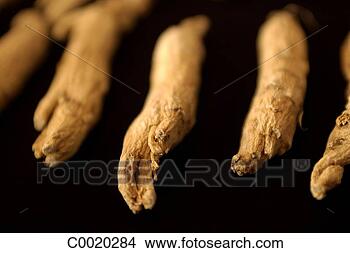Stock Photo - bai shan, close-up, 
ginseng, herb, 
holistic health, 
indoors. fotosearch 
- search stock 
photos, pictures, 
images, and photo 
clipart