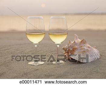 Arquivo de Fotografia - champanhe,  óculos, 
 concha,  praia. 
fotosearch - busca 
de fotos, imagens 
e clipart
