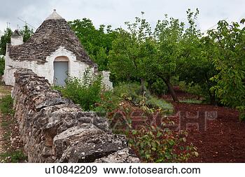 顶, 石头墙, 在旁边, 果园, 带, 红, 犁耕, 土壤, 在中