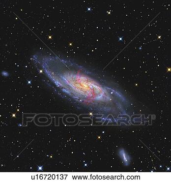 Picture - messier 106, aspiral galaxywith an activesupermassive blackhole. fotosearch- search stockphotos, pictures,wall murals, images,and photo clipart