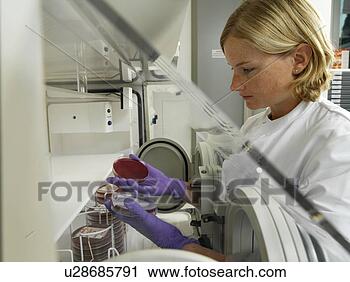 Stock Photography - culturing anaerobic 
bacteria. fotosearch 
- search stock 
photos, pictures, 
wall murals, images, 
and photo clipart